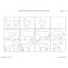 Animal Families	 (Dieser Artikel ist auch in deutsch erhältlich)