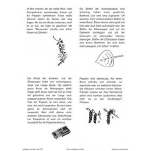 Bäume - Laubbäume
