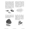 Trees - deciduous trees