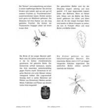 Bäume - Laubbäume