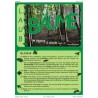 Bäume - Laubbäume