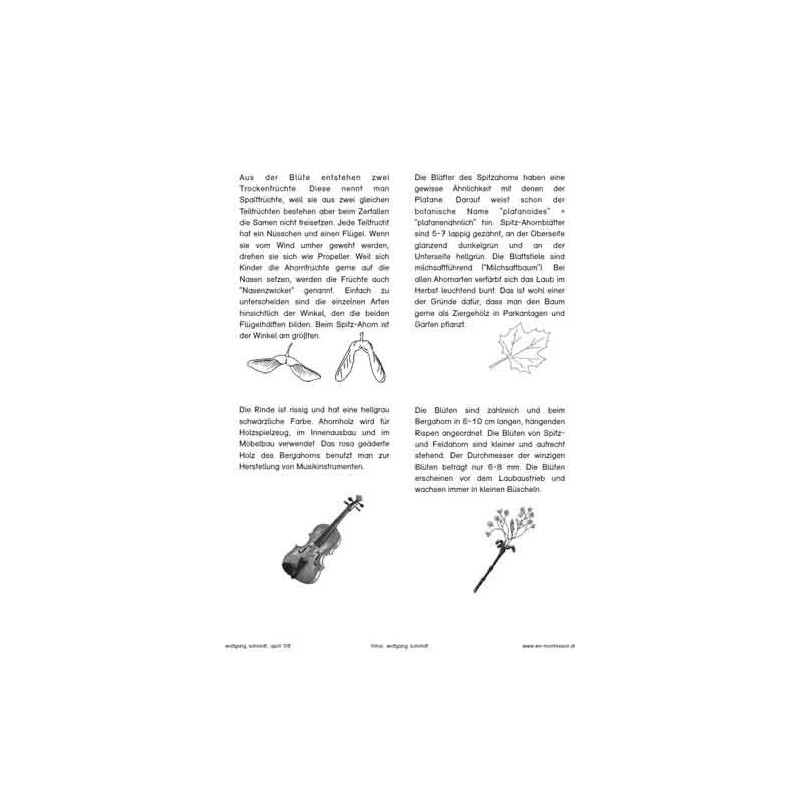 Trees - deciduous trees