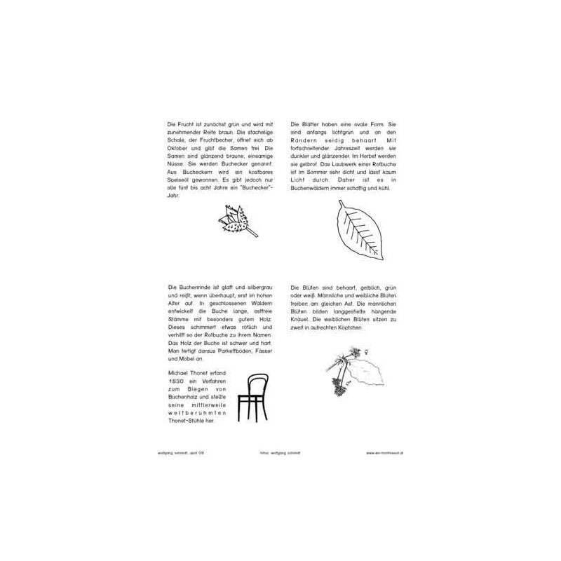 Bäume - Laubbäume