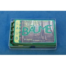Bäume - Laubbäume
