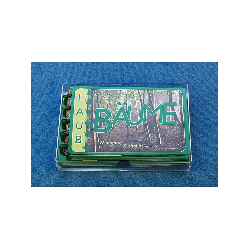 Bäume - Laubbäume