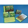 Trees - deciduous trees