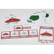 Biologische Karten