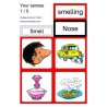 Body - Care - Senses	 (Dieser Artikel ist auch in deutsch erhältlich)