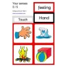 Body - Care - Senses	 (Dieser Artikel ist auch in deutsch erhältlich)