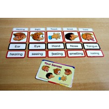 Body - Care - Senses	 (Dieser Artikel ist auch in deutsch erhältlich)