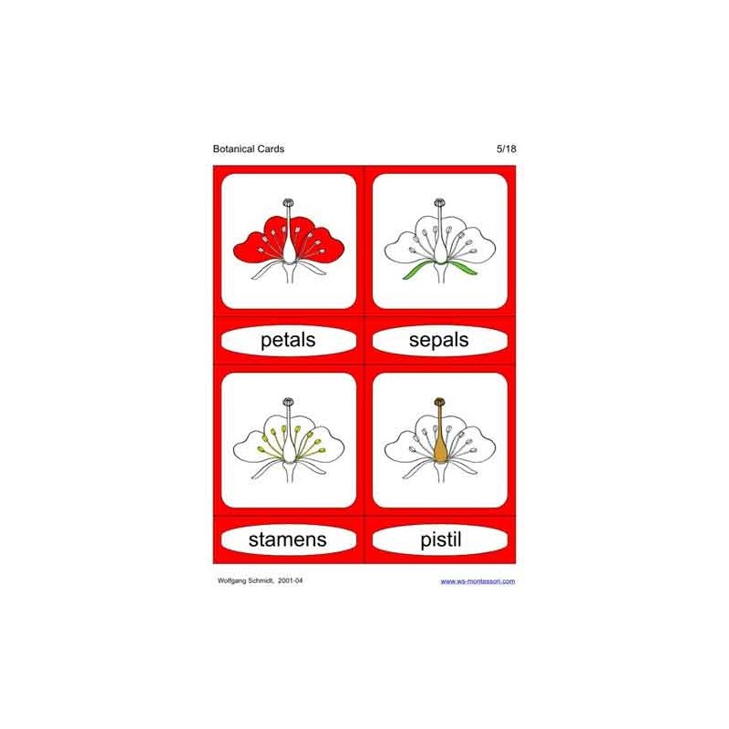 Botanical Cards (This article is also available in German)