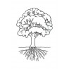 Botanical Cards (This article is also available in German)