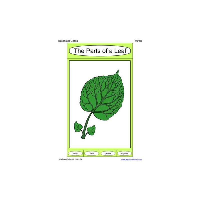 Botanical Cards (Dieser Artikel ist auch in deutsch erhältlich)
