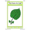Botanical Cards (Dieser Artikel ist auch in deutsch erhältlich)