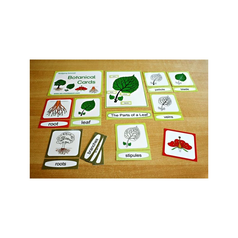Botanical Cards (Dieser Artikel ist auch in deutsch erhältlich)