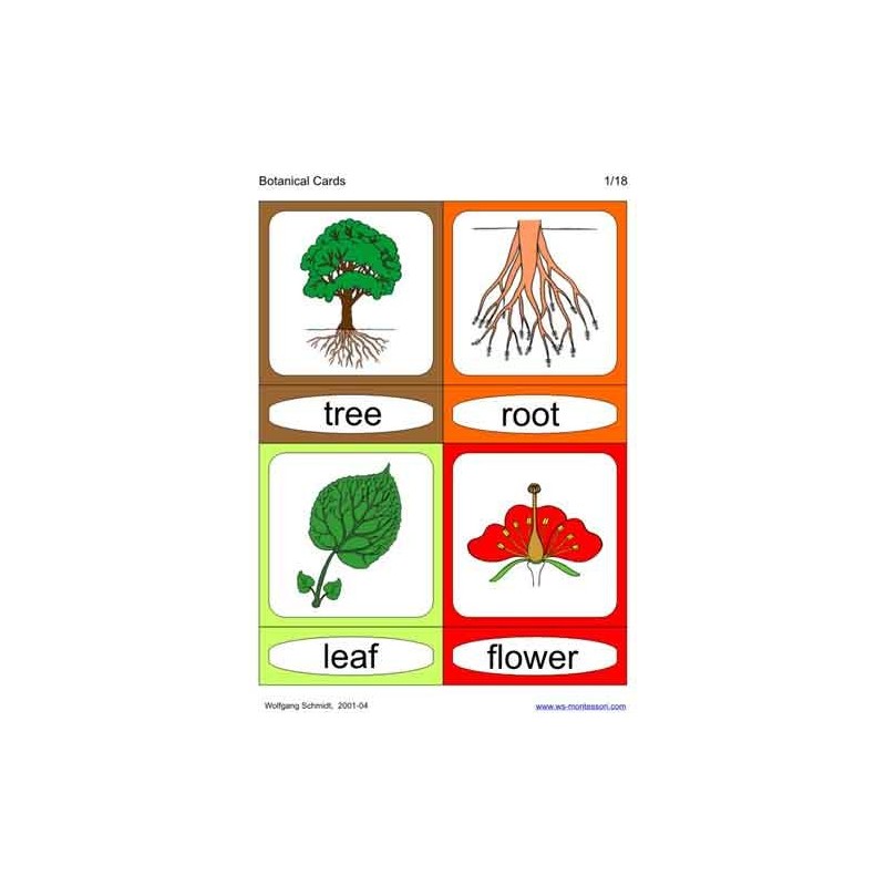 Botanical Cards (This article is also available in German)
