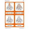 Botanical Cards (This article is also available in German)
