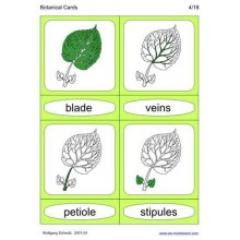 Botanické karty (Tento článok je k dispozícii aj v nemčine)