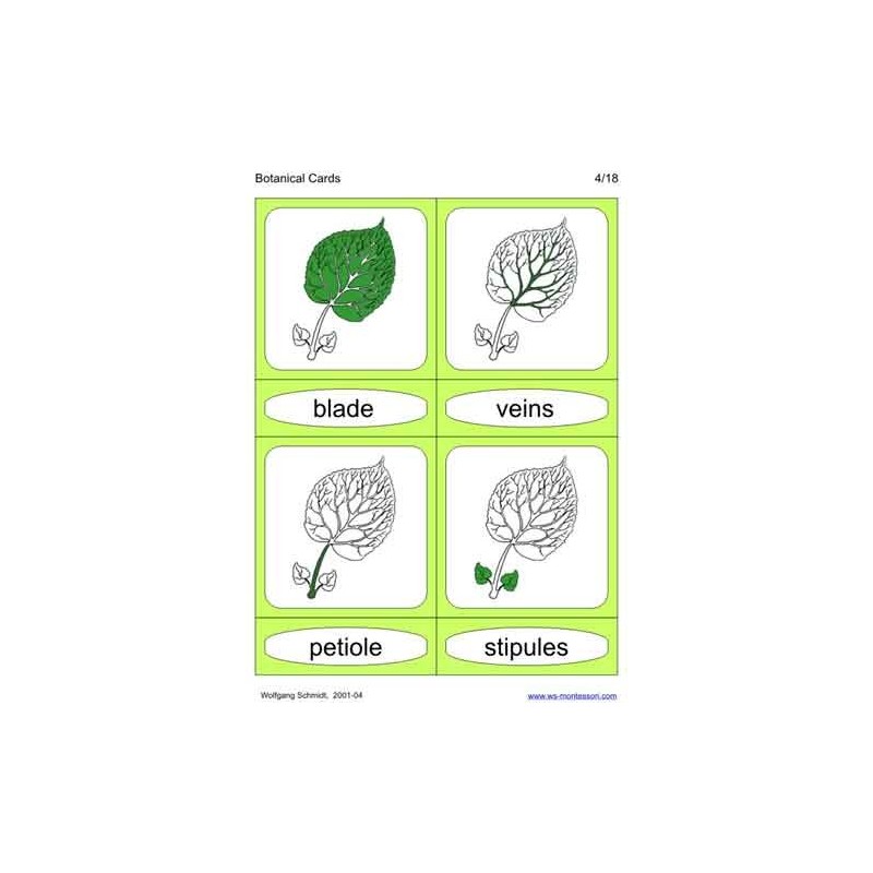 Botanical Cards (This article is also available in German)