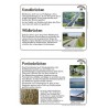bridges