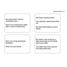 Dandelion Booklet (Dieser Artikel ist auch in deutsch erhältlich)