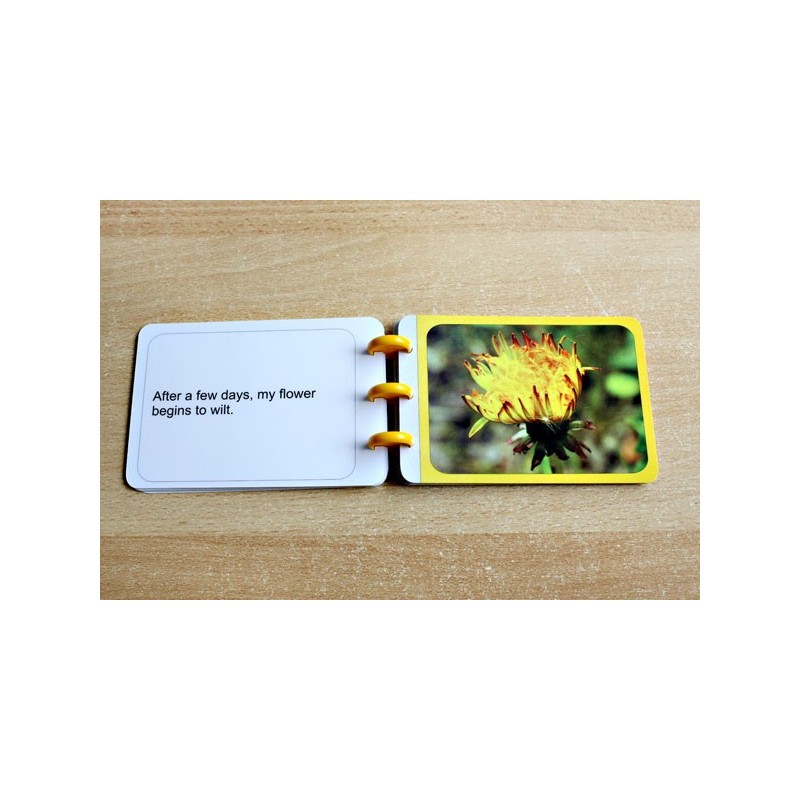 Dandelion Booklet (Dieser Artikel ist auch in deutsch erhältlich)