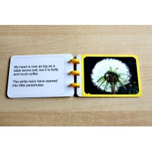 Dandelion Booklet (This article is also available in German)