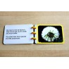 Dandelion Booklet (Dieser Artikel ist auch in deutsch erhältlich)