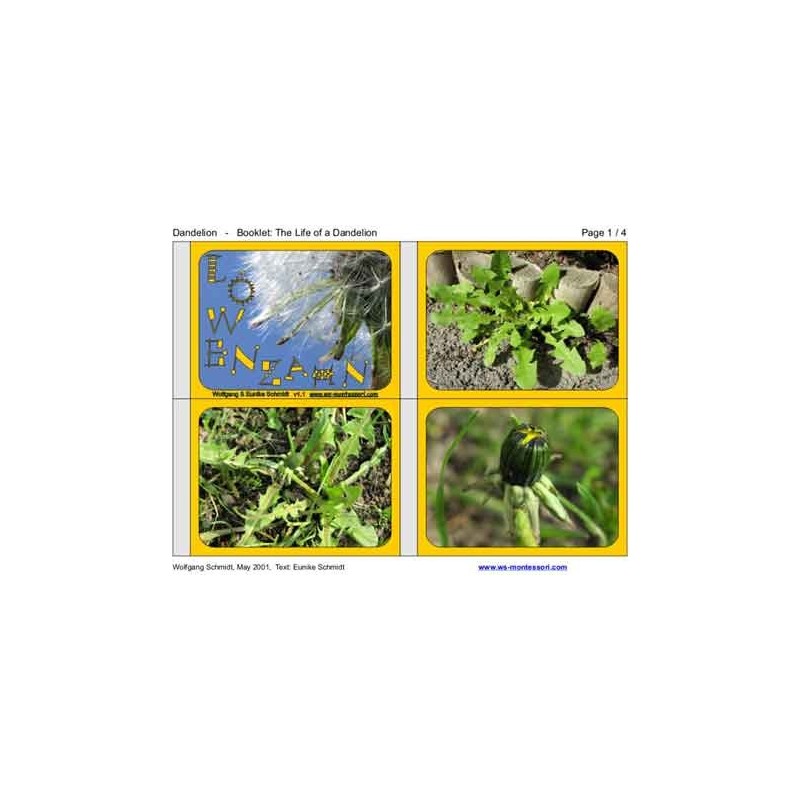 Dandelion Booklet (This article is also available in German)