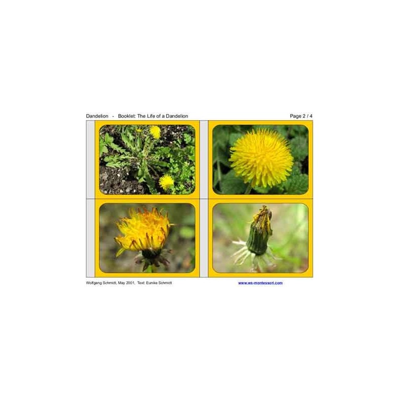 Dandelion Booklet (Dieser Artikel ist auch in deutsch erhältlich)