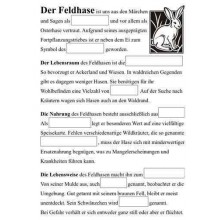 Der Feldhase