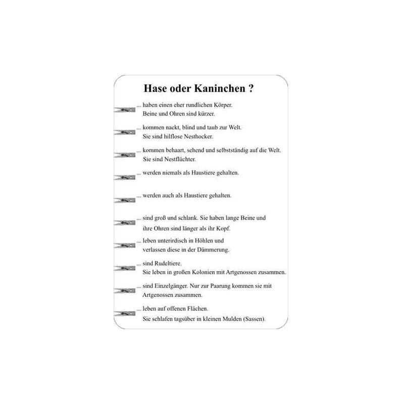 Der Feldhase
