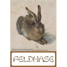 Der Feldhase