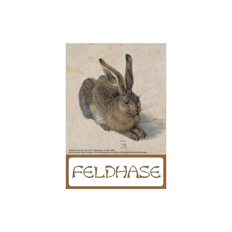Der Feldhase