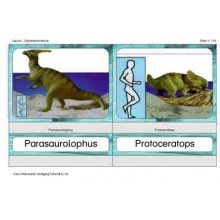 dinosaurus