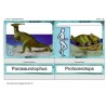 dinosaurus
