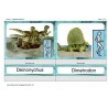 dinosaurus