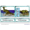 Dinosaurs (Dieser Artikel ist auch in deutsch erhältlich)