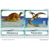 Dinosaurs (This article is also available in German)