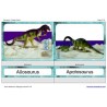 Dinosaurs (This article is also available in German)