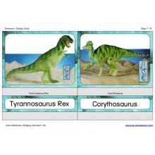 Dinosaurs (This article is also available in German)