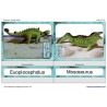 Dinosaury (Tento článok je k dispozícii aj v nemčine)