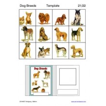 Dog Breeds