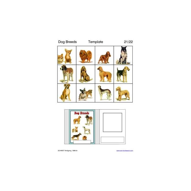 Dog Breeds