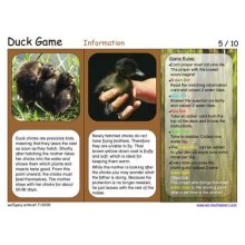 Duck Game (Dieser Artikel ist auch in deutsch erhältlich)
