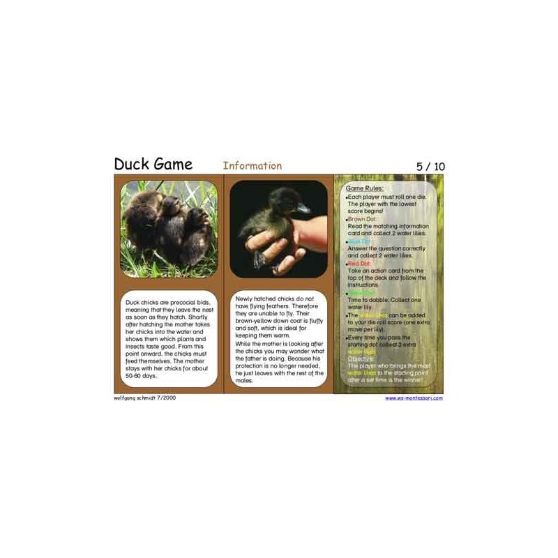 Duck Game (This article is also available in German)