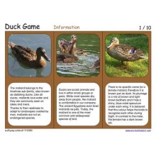 Duck Game (This article is also available in German)