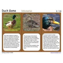 Duck Game (Dieser Artikel ist auch in deutsch erhältlich)