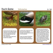 Duck Game (Dieser Artikel ist auch in deutsch erhältlich)