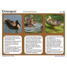 Duck game